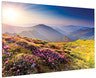 Da-Lite FullVision projectiescherm 4,14 m (163") 16:10 10600727 - Compridis
