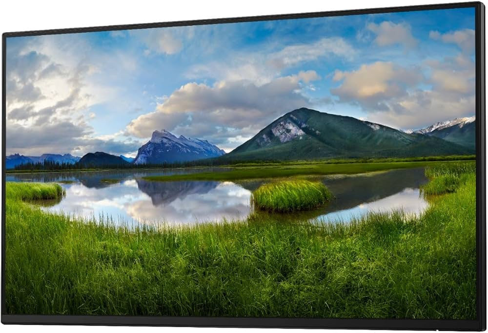 DELL Pro Plus P2425H_WOST computer monitor 61 cm (24") 1920 x 1080 pixels Full HD LCD Black DELL-P2425HWO