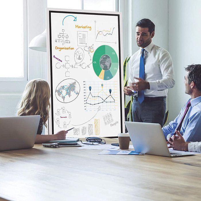 ALIZEY Film antibactérien pour Flip 55 BACH-FLIP55R-RS