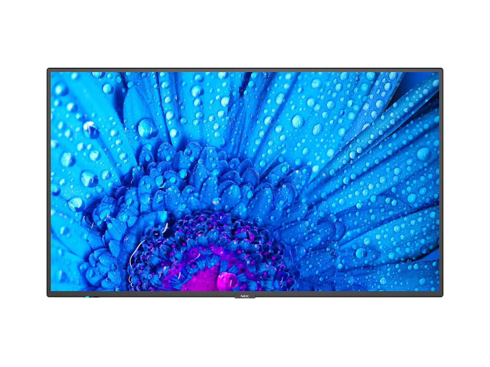 NEC MultiSync M491 Digitale signage flatscreen 124,5 cm (49") IPS 500 cd/m² 4K Ultra HD Zwart 24/7 60005051 - Compridis