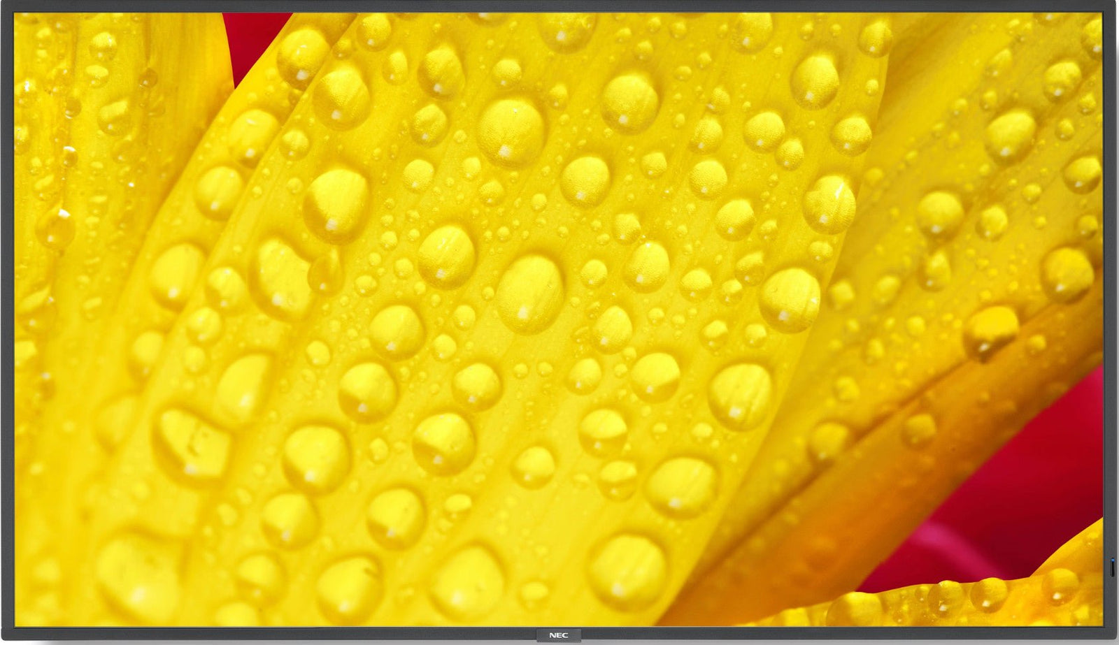 NEC MultiSync M551-2 55" 4K UHD Display Zwart - Compridis