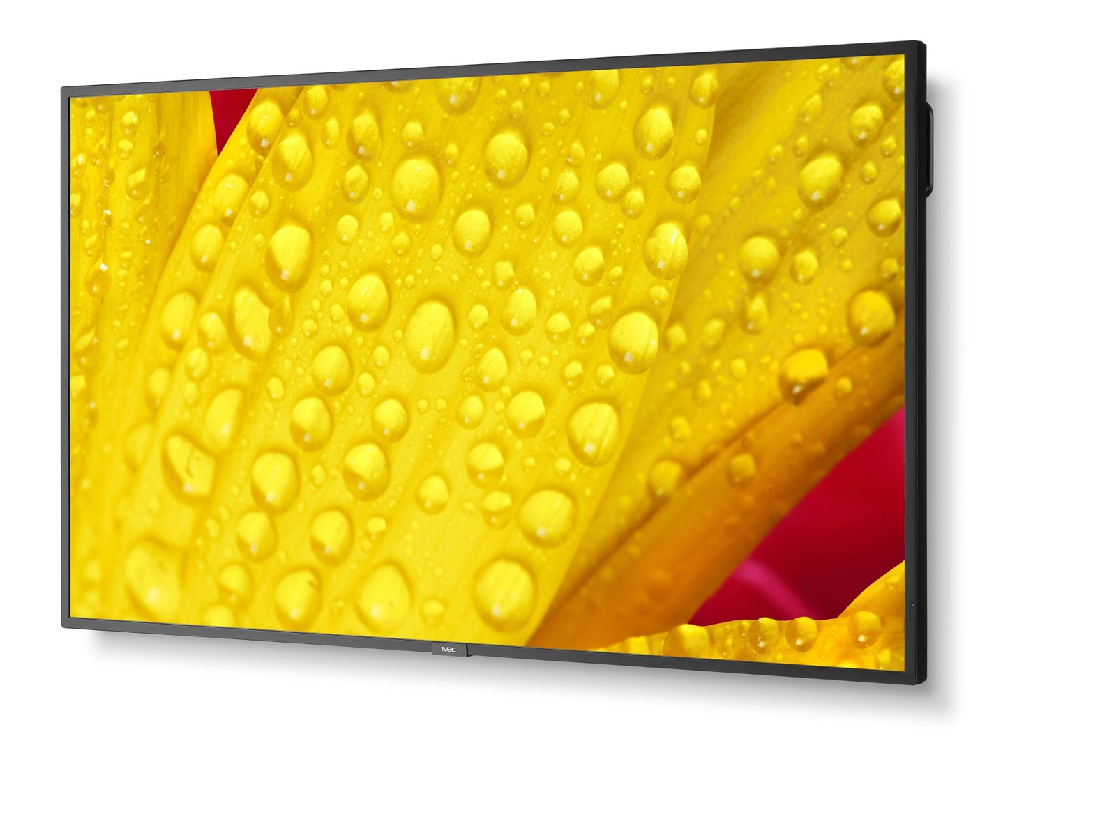 NEC MultiSync M551-2 55" 4K UHD Display Zwart - Compridis