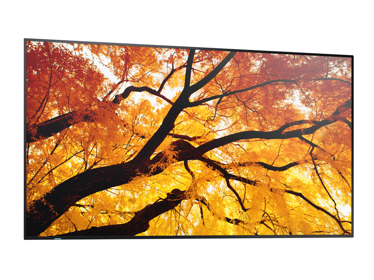 Sharp MultiSync M552 PN-M552 55-inch UHD 4K Display